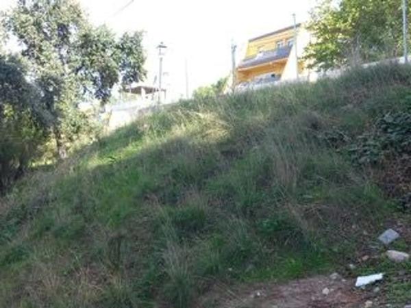 Terreno en avenida De Las Rozas s/n sn thumbnail 1