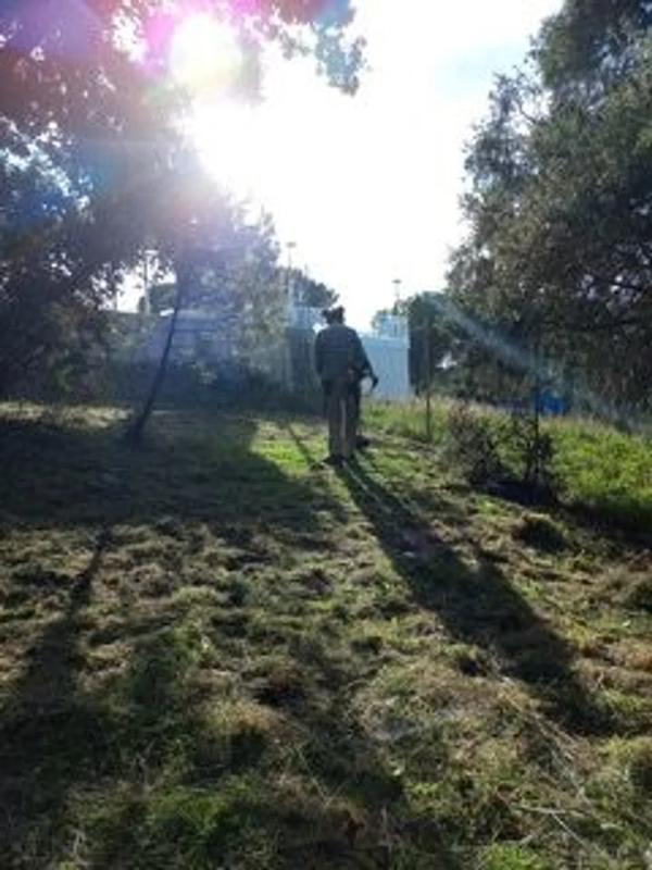 Terreno en venta en Torrelodones, Madrid photo 4