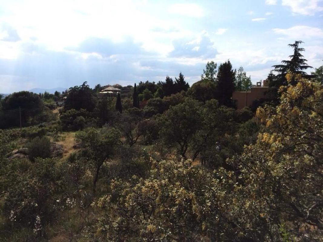 Terreno en venta en Torrelodones, Madrid photo 1