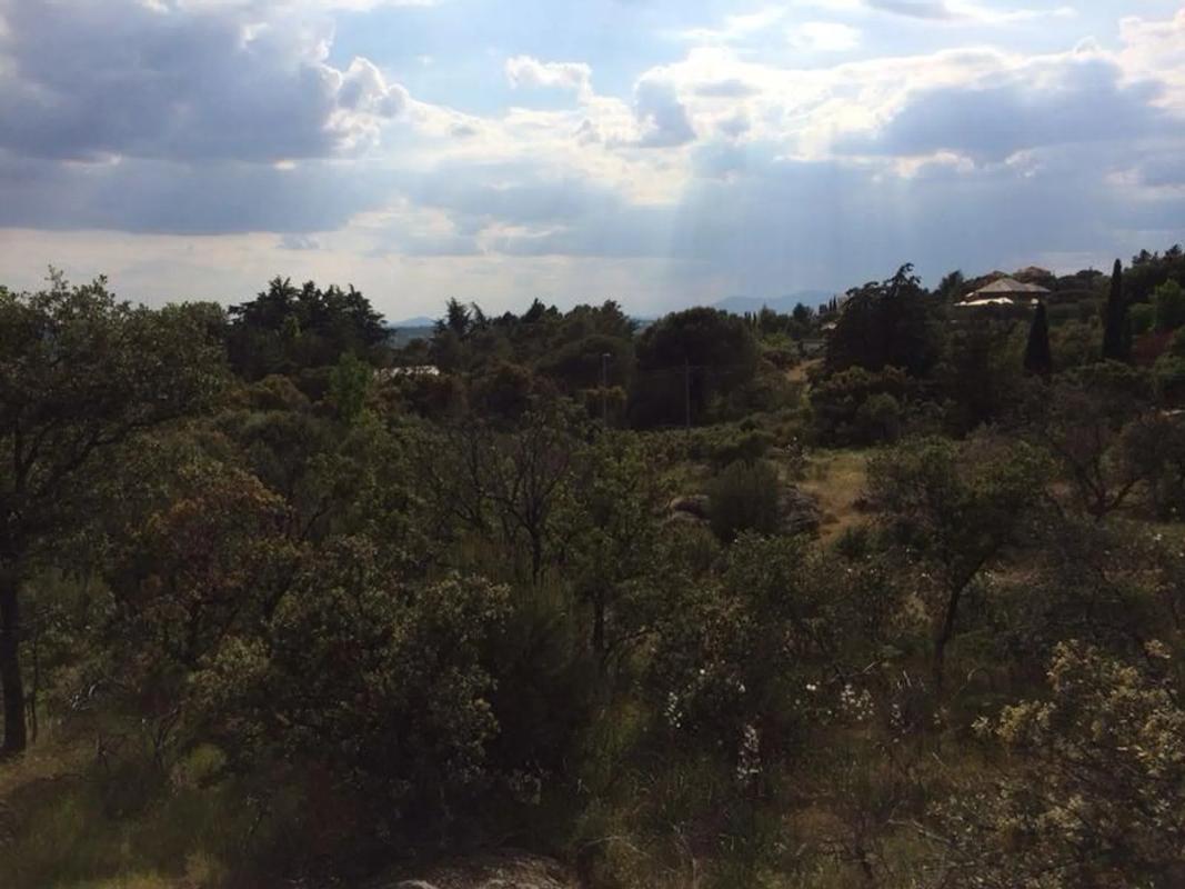 Terreno en venta en Torrelodones, Madrid photo 2