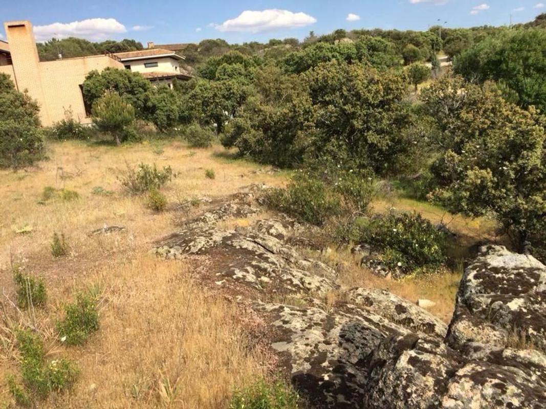 Terreno en venta en Torrelodones, Madrid photo 3