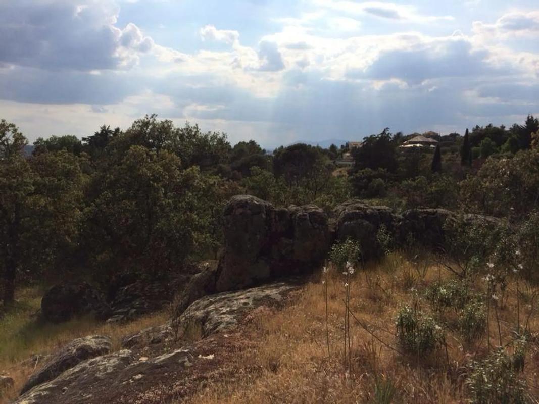 Terreno en venta en Torrelodones, Madrid photo 4