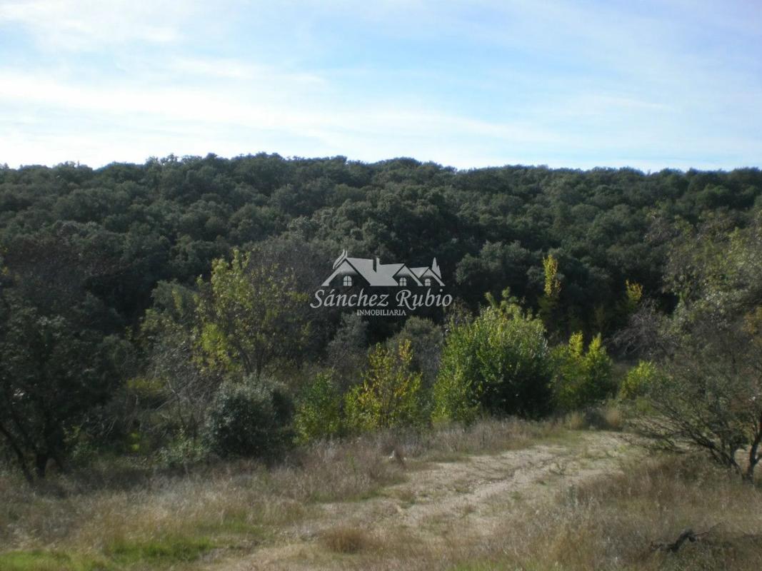 Terreno en venta en Torrelodones, Madrid photo 2
