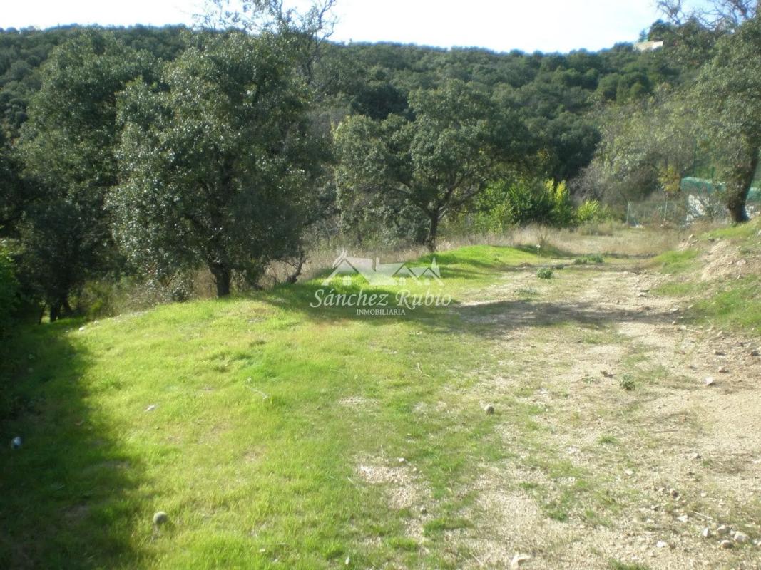 Terreno en venta en Torrelodones, Madrid photo 5
