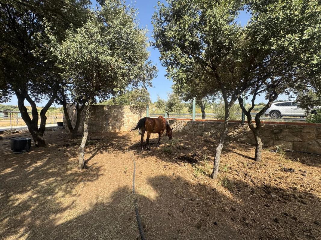 Land for sale in Valdemorillo, Madrid photo 1