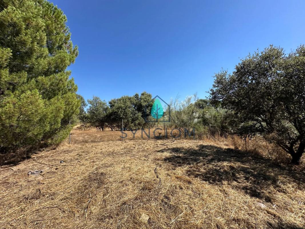 Terreno en venta en Valdemorillo, Madrid photo 3