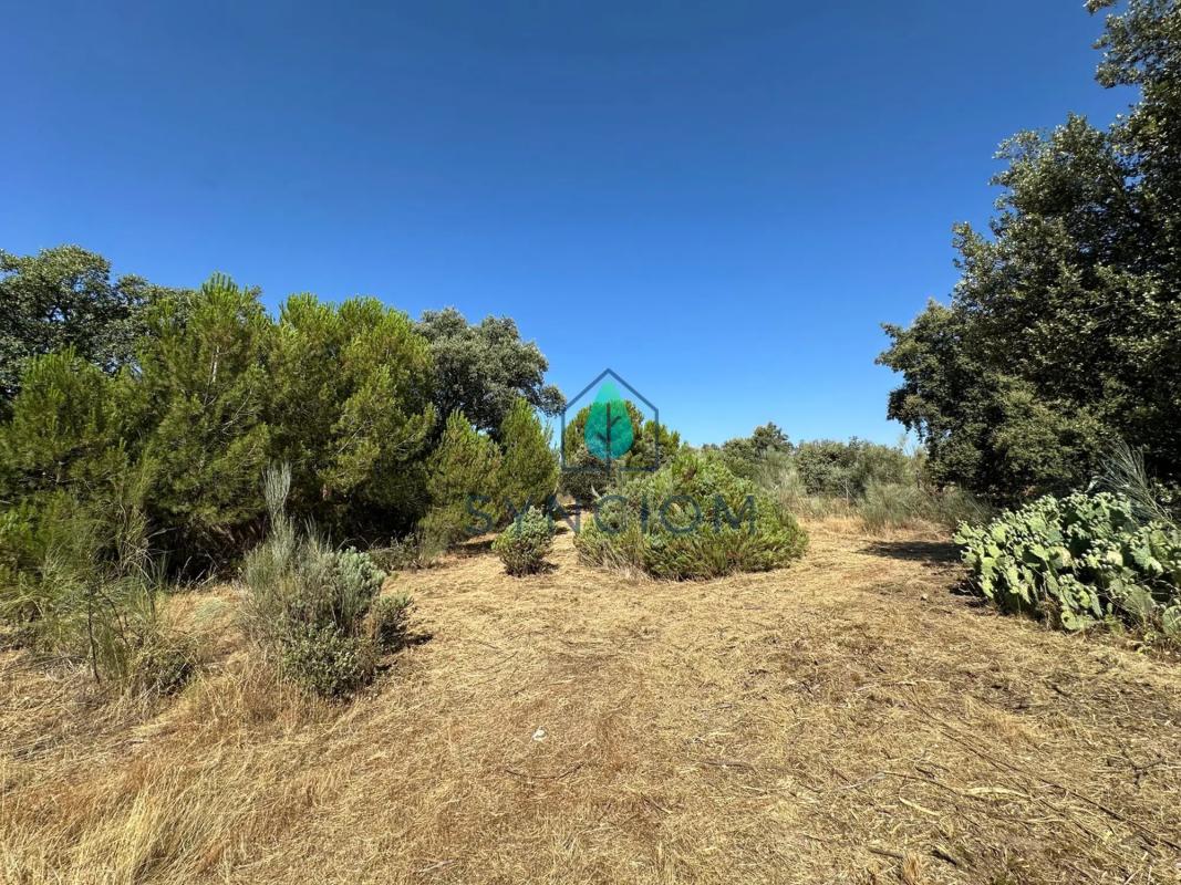 Terreno en venta en Valdemorillo, Madrid photo 5