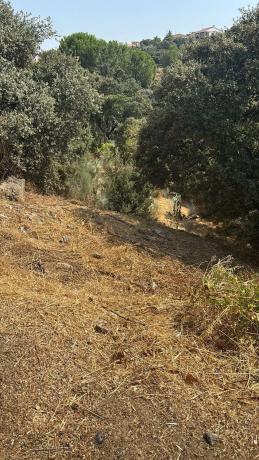 Terreno en Puerto de la canda13, 13 photo 1