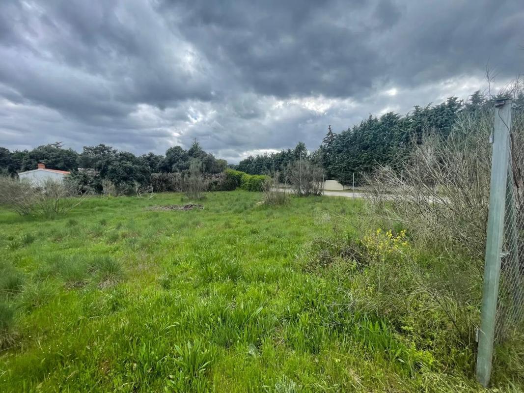 Land for sale in Valdemorillo, Madrid photo 4