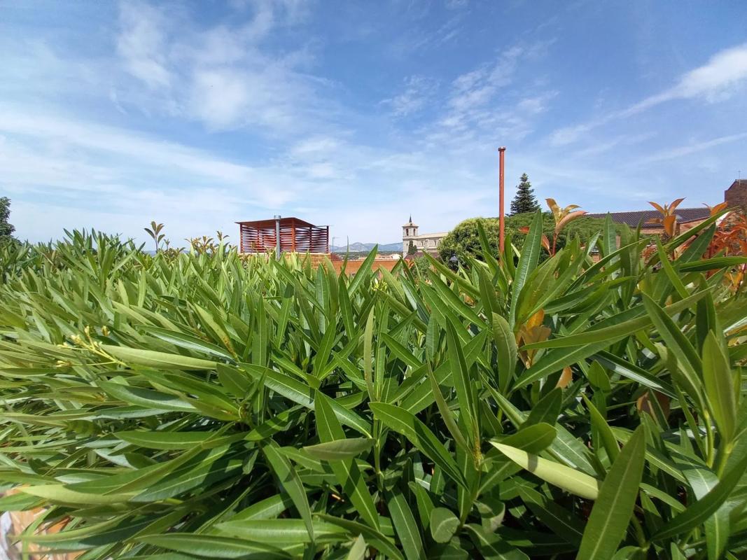 Terreno en venta en Valdemorillo, Madrid photo 5