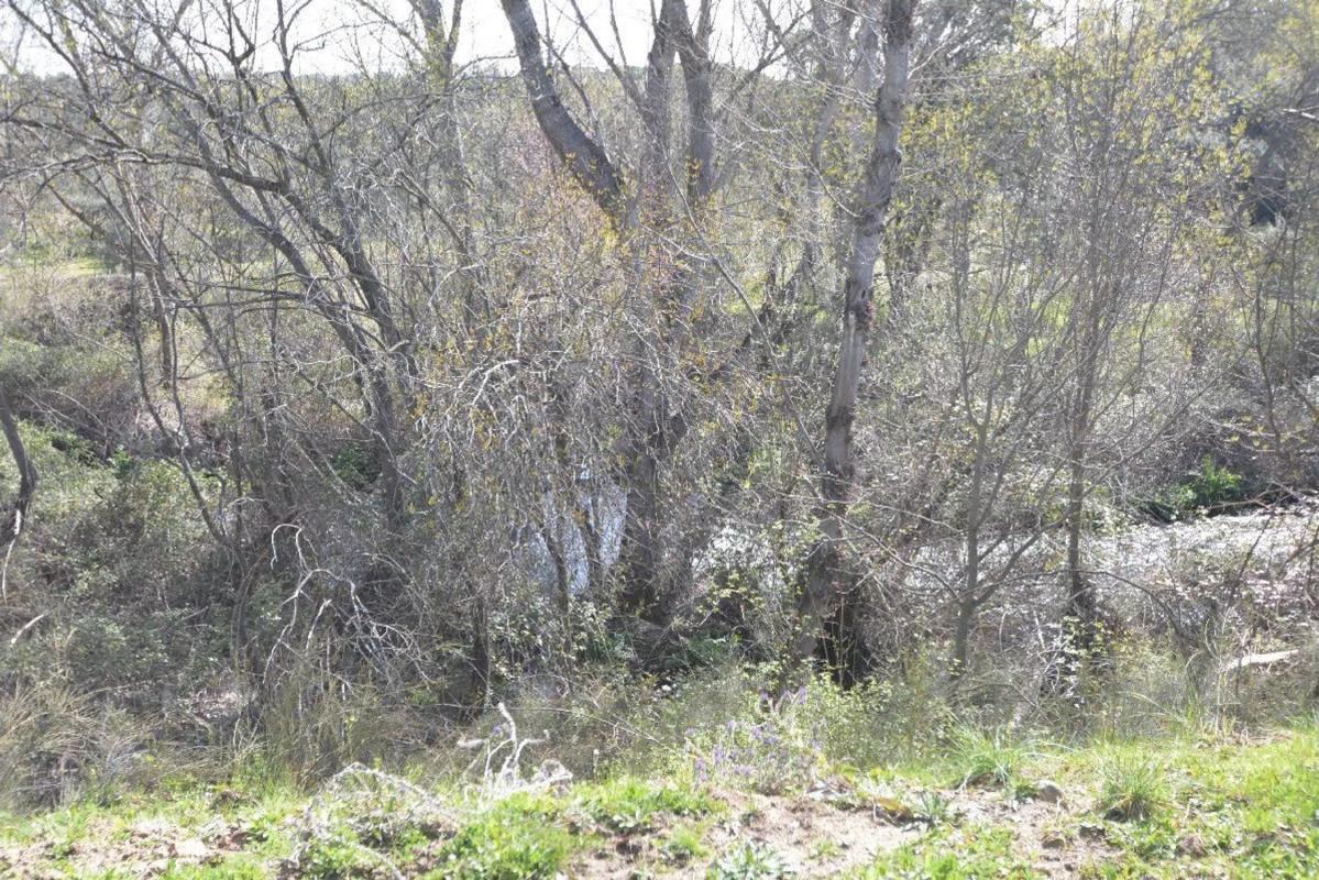 Terreno en venta en Valdemorillo, Madrid photo 2