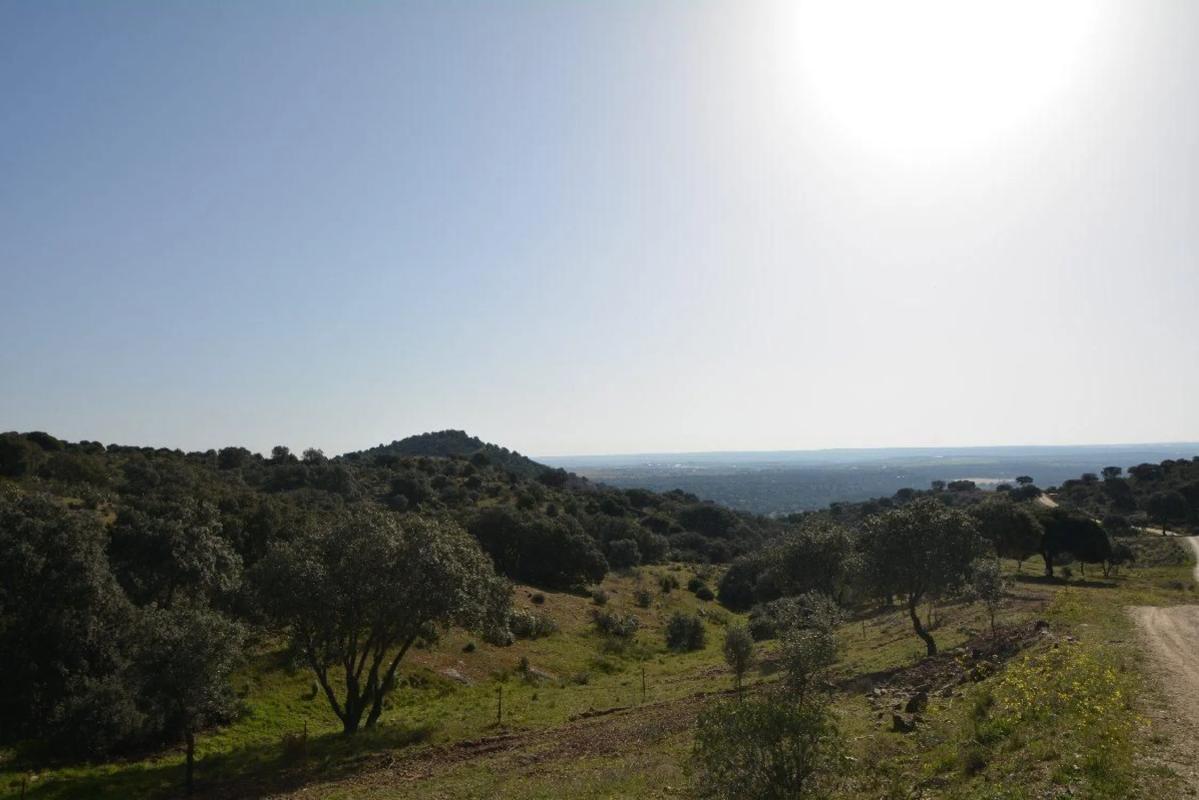 Terreno en venta en Valdemorillo, Madrid photo 3