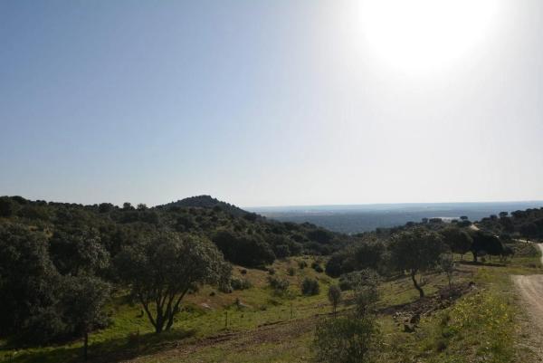 Terreno en Pino Alto - Navarredonda photo 3