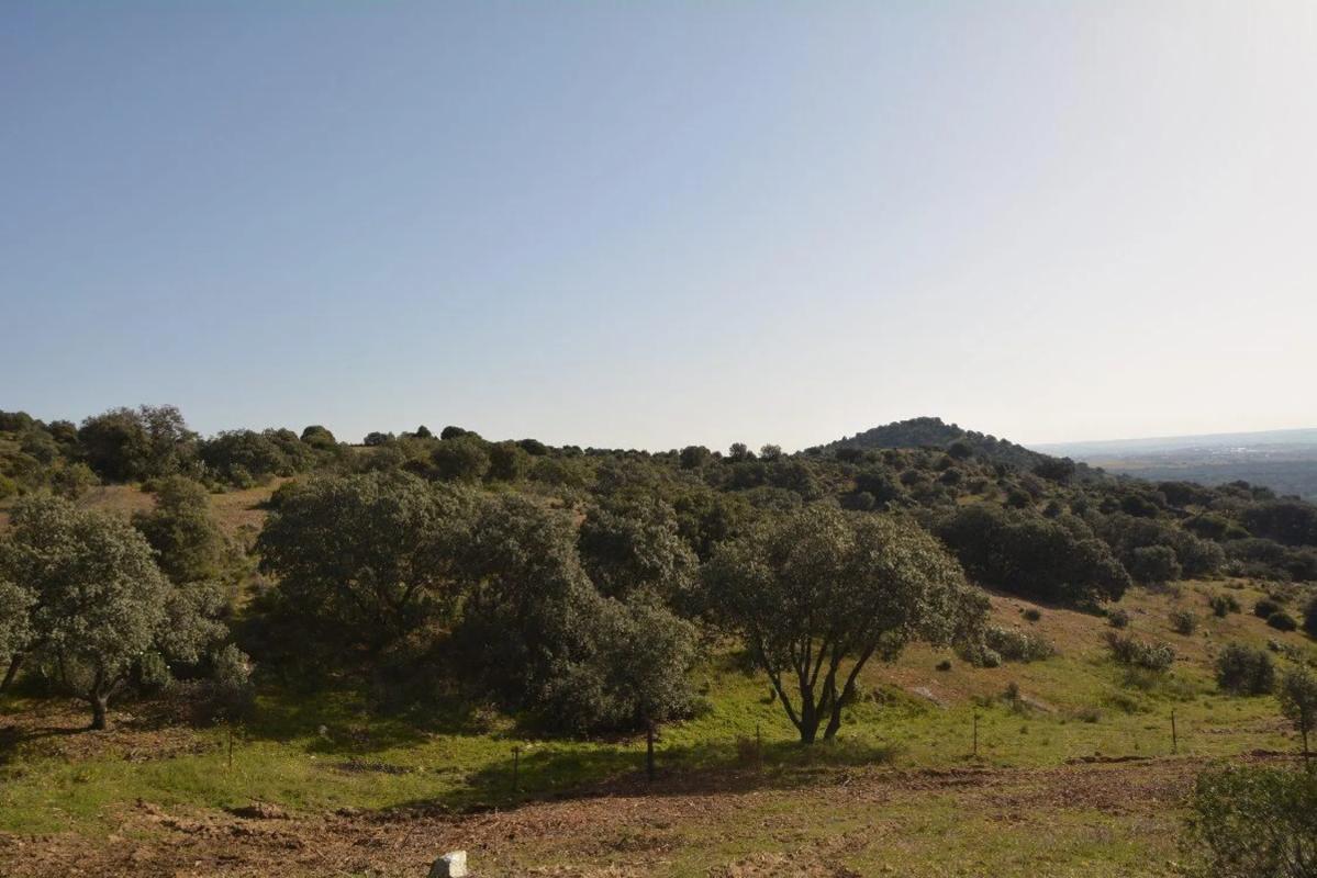 Terreno en venta en Valdemorillo, Madrid photo 4