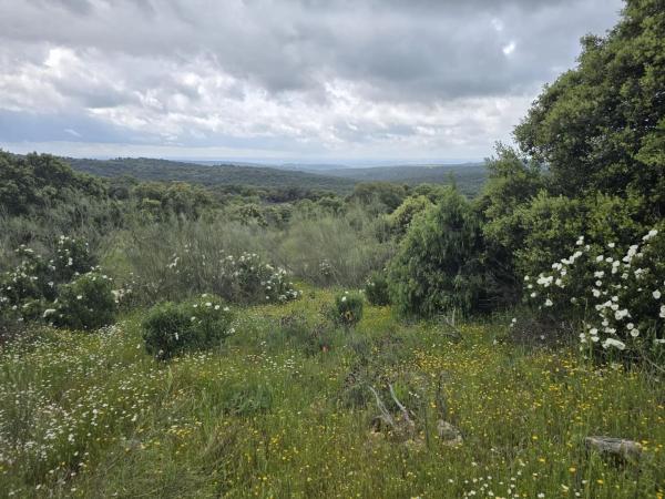 Terreno en Mojadillas - Parque de las Infantas - El Paraiso photo 3