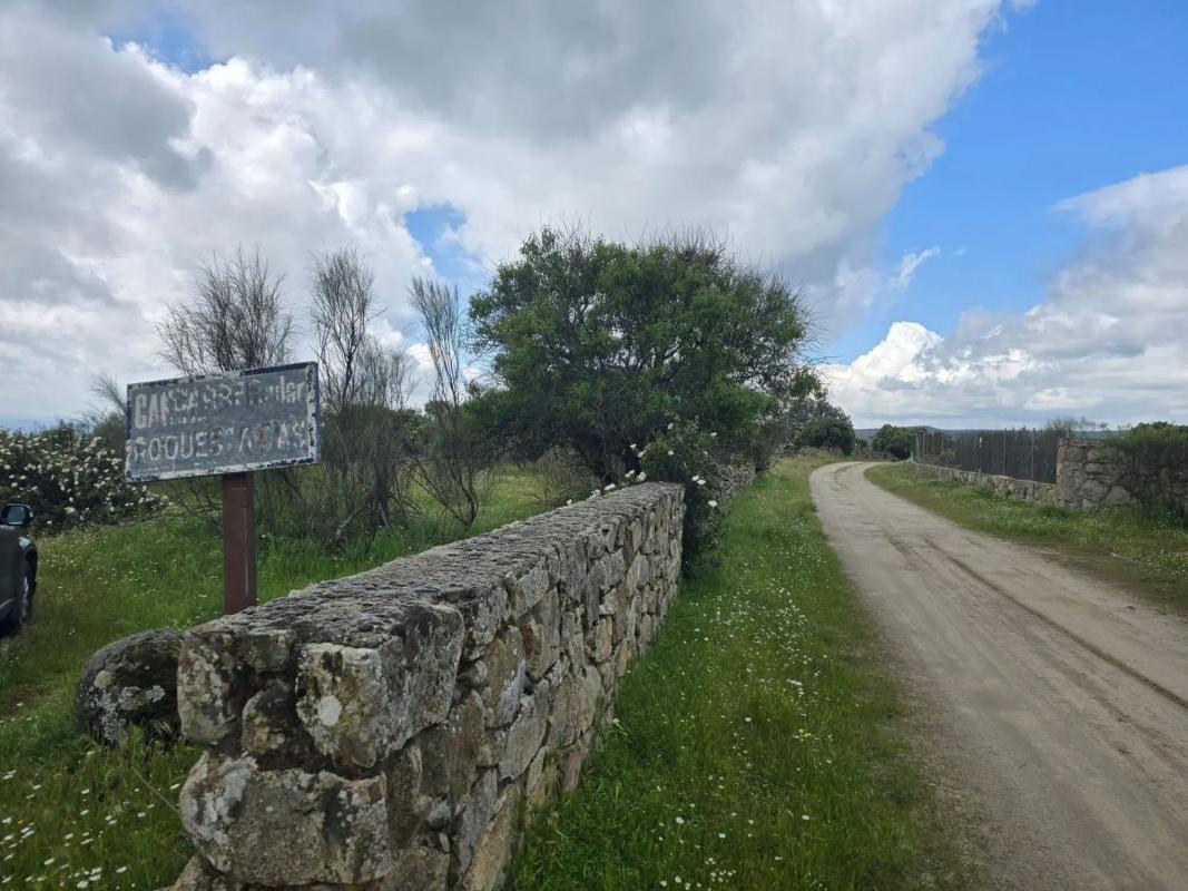 Land for sale in Valdemorillo, Madrid photo 4