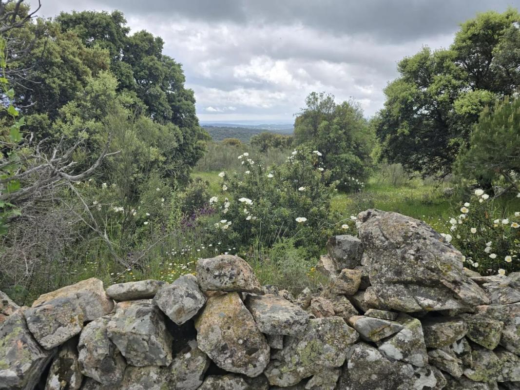 Land for sale in Valdemorillo, Madrid photo 5