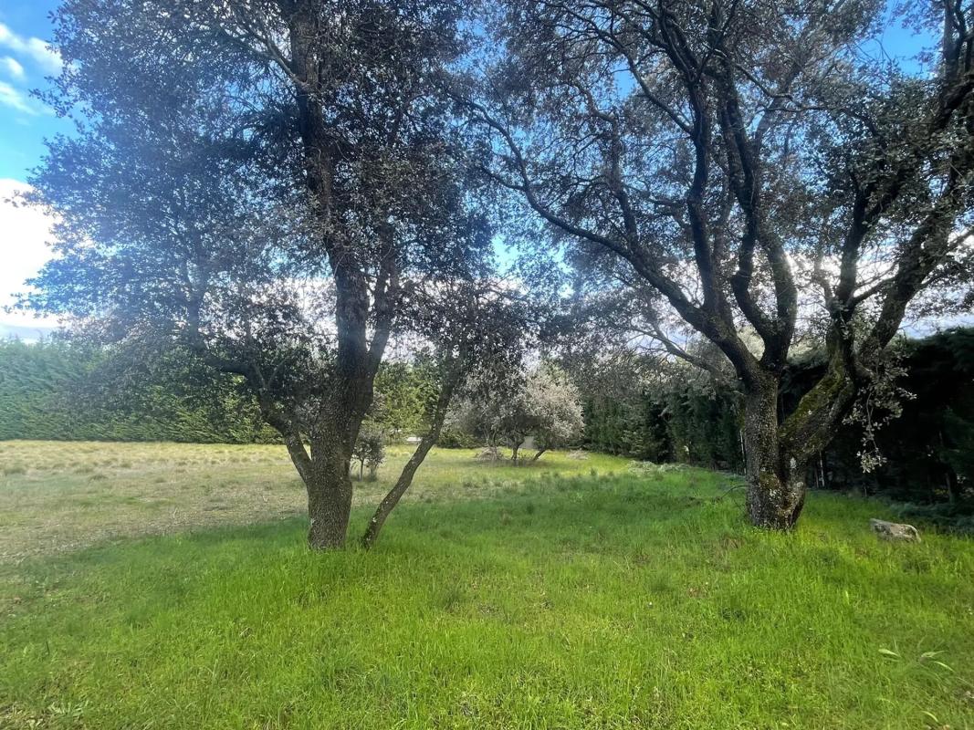 Terreno en venta en Valdemorillo, Madrid photo 5