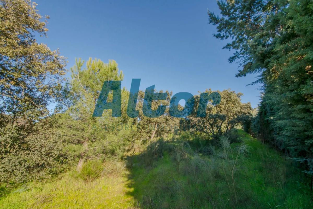 Land for sale in Valdemorillo, Madrid photo 3