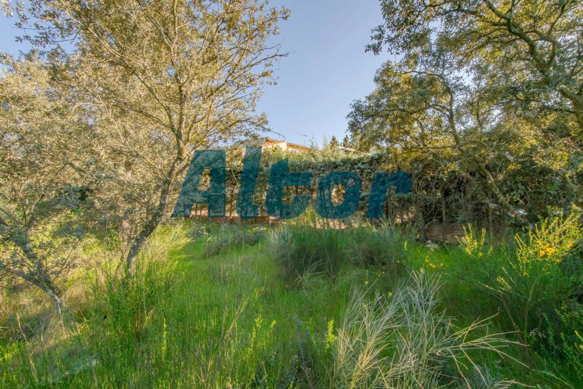 Land for sale in Valdemorillo, Madrid photo 4