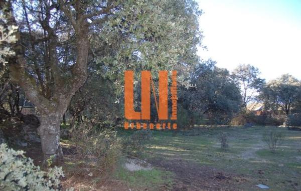 Terreno en Mojadillas - Parque de las Infantas - El Paraiso photo 4