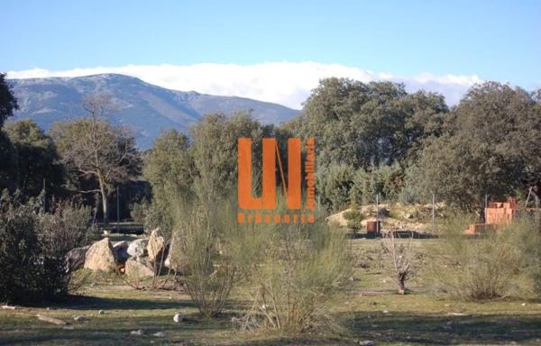 Terreno en Mojadillas - Parque de las Infantas - El Paraiso photo 1