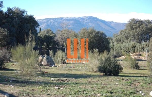 Terreno en Mojadillas - Parque de las Infantas - El Paraiso photo 2