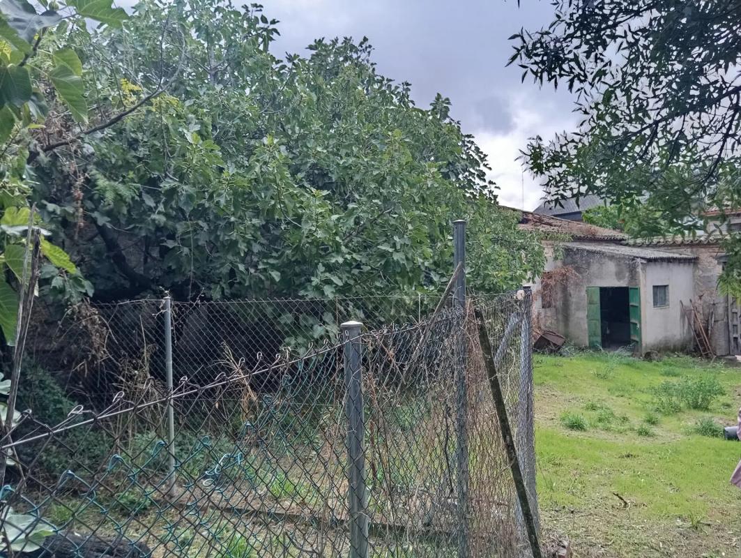 Участок земли на продажу в Вальдеморильо, Мадрид photo 5