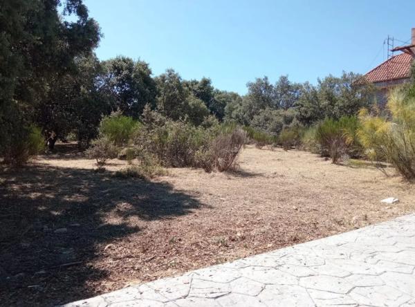 Terreno en calle Infanta Carlota, 3 photo 1