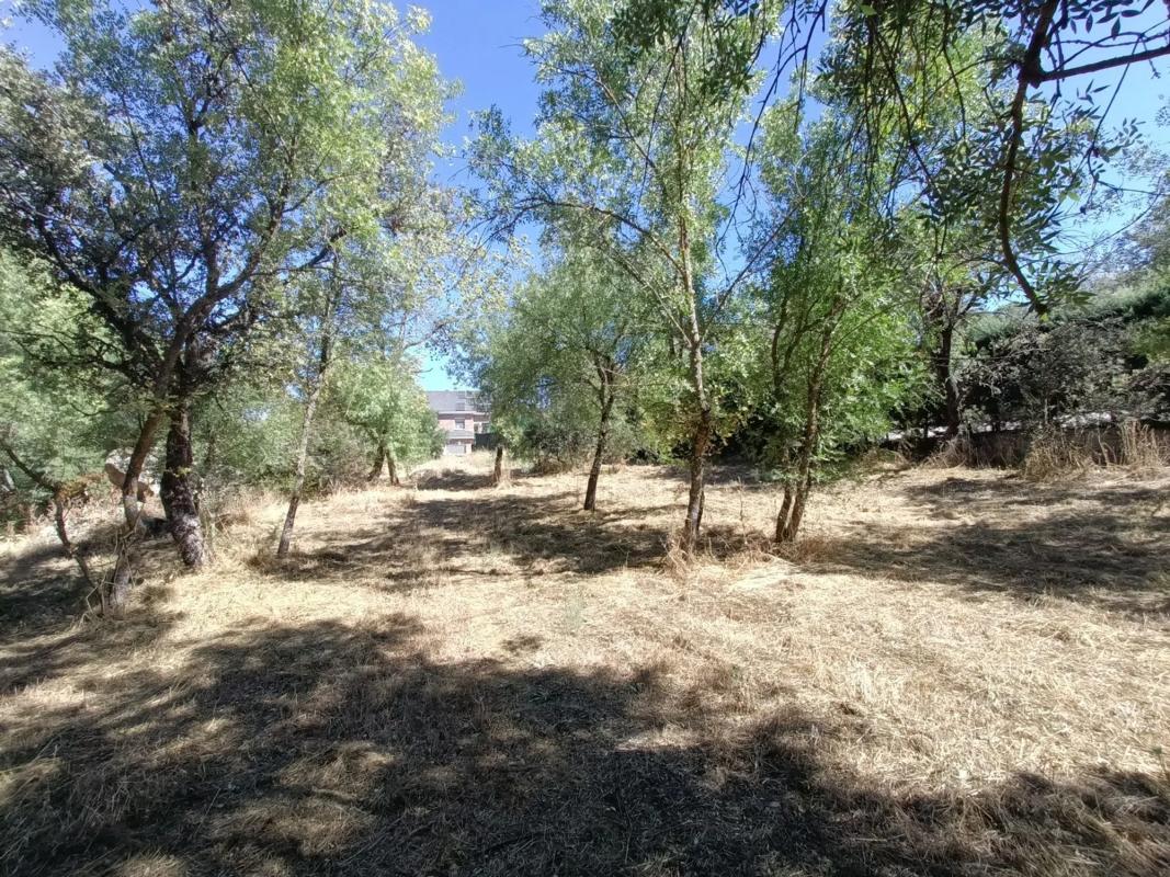 Terreno en venta en Valdemorillo, Madrid photo 5