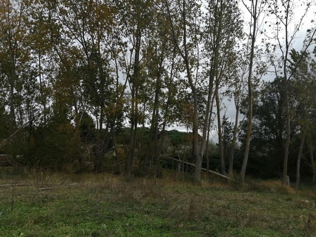Участок земли на продажу в Вальдеморильо, Мадрид photo 1