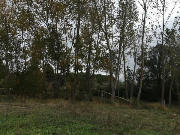 Terreno en carretera de Colmenarejo, km 11 photo 1