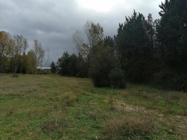 Terreno en carretera de Colmenarejo, km 11 photo 2
