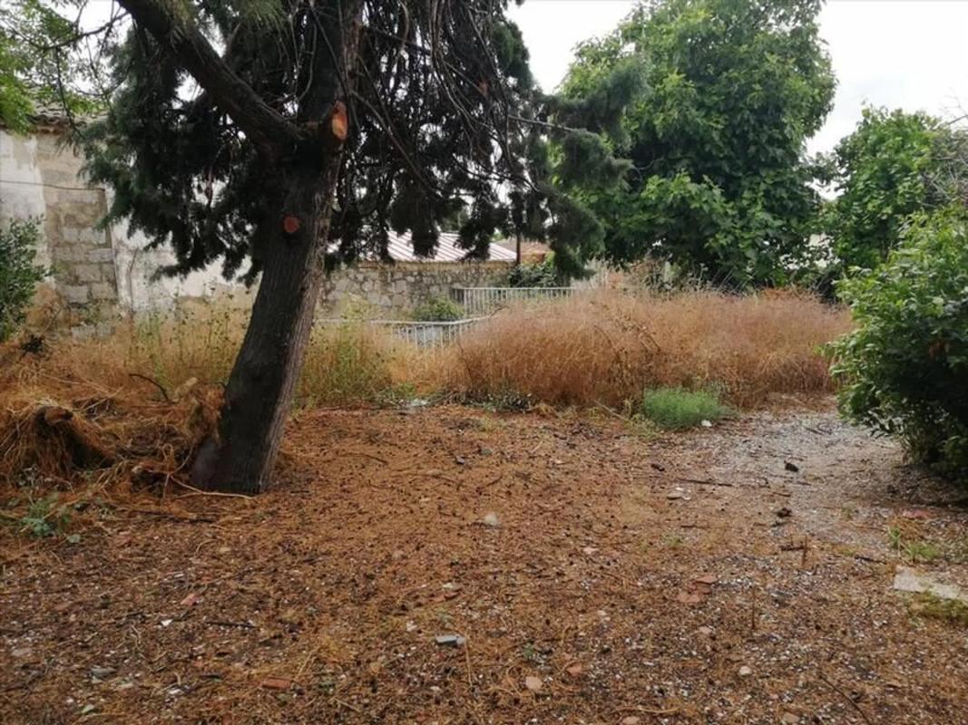 Land for sale in Valdemorillo, Madrid photo 5