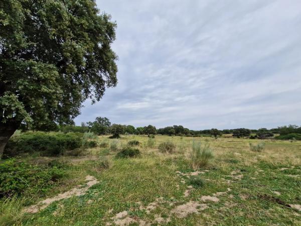 Terreno en camino Vial, 2 y photo 3