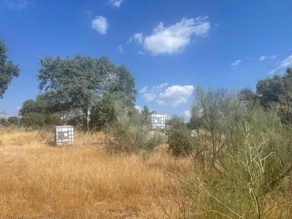 Terreno en Valdemorillo pueblo photo 2