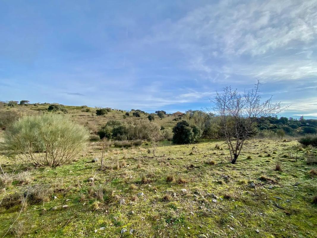 Land for sale in Valdemorillo, Madrid photo 3