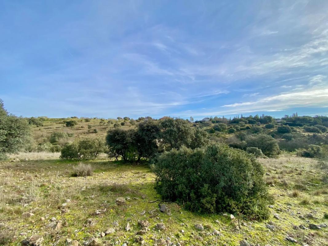 Land for sale in Valdemorillo, Madrid photo 4