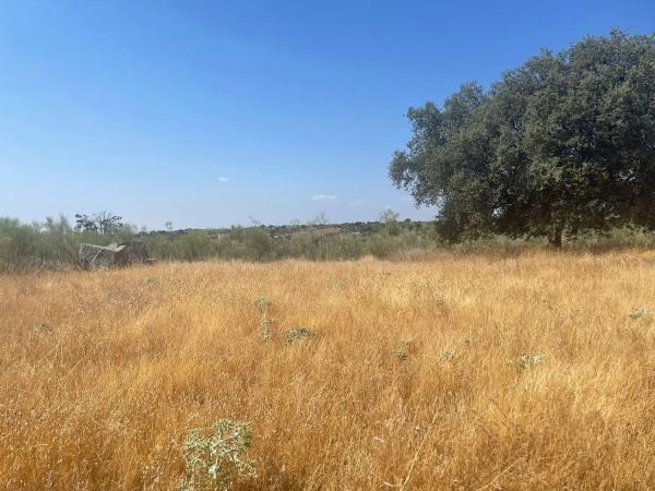 Terreno en Valdemorillo pueblo photo 1
