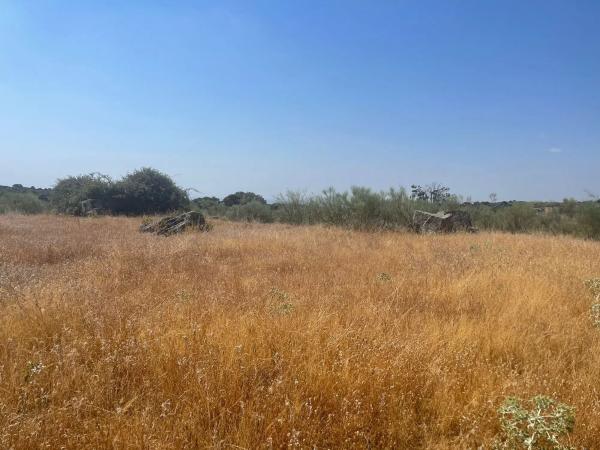 Terreno en Valdemorillo pueblo photo 2