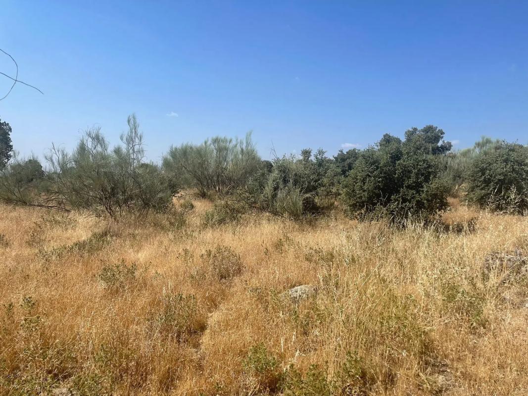 Terreno en venta en Valdemorillo, Madrid photo 4