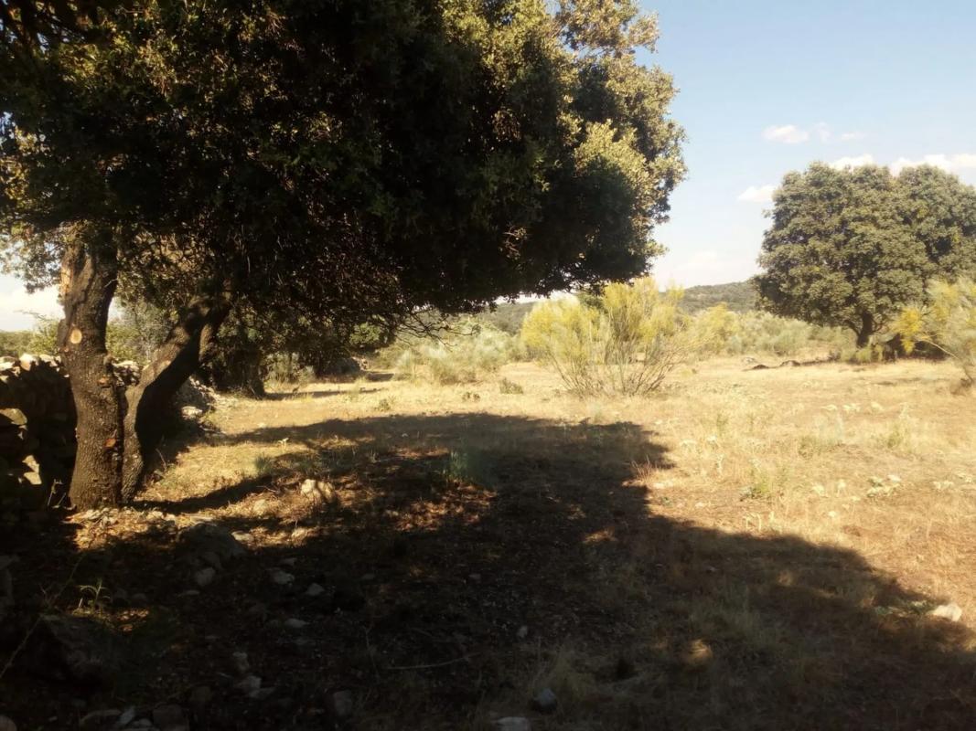 Terreno en venta en Valdemorillo, Madrid photo 1
