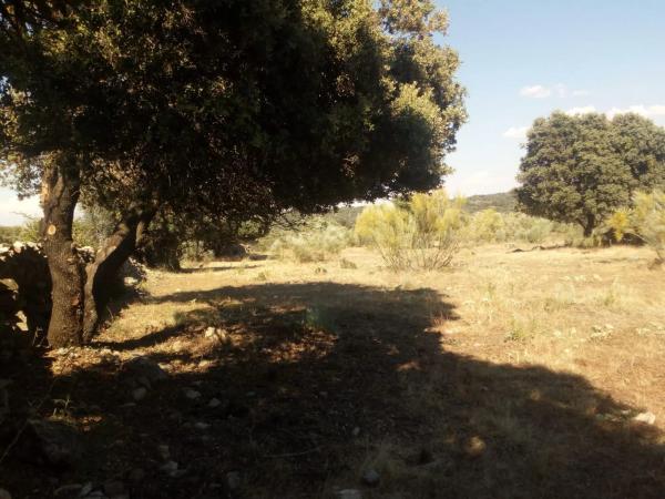 Terreno en avenida del Valle s/n photo 1