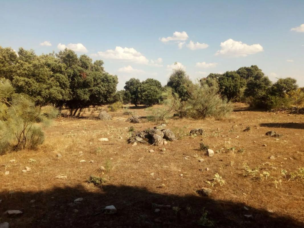 Terreno en venta en Valdemorillo, Madrid photo 2