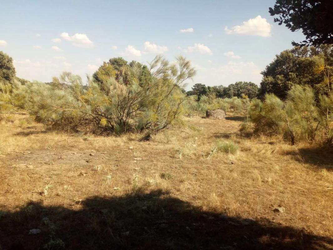 Terreno en venta en Valdemorillo, Madrid photo 3