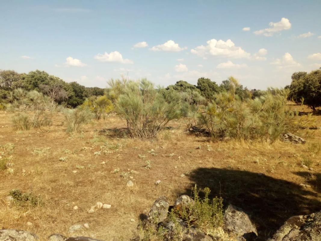 Terreno en venta en Valdemorillo, Madrid photo 4