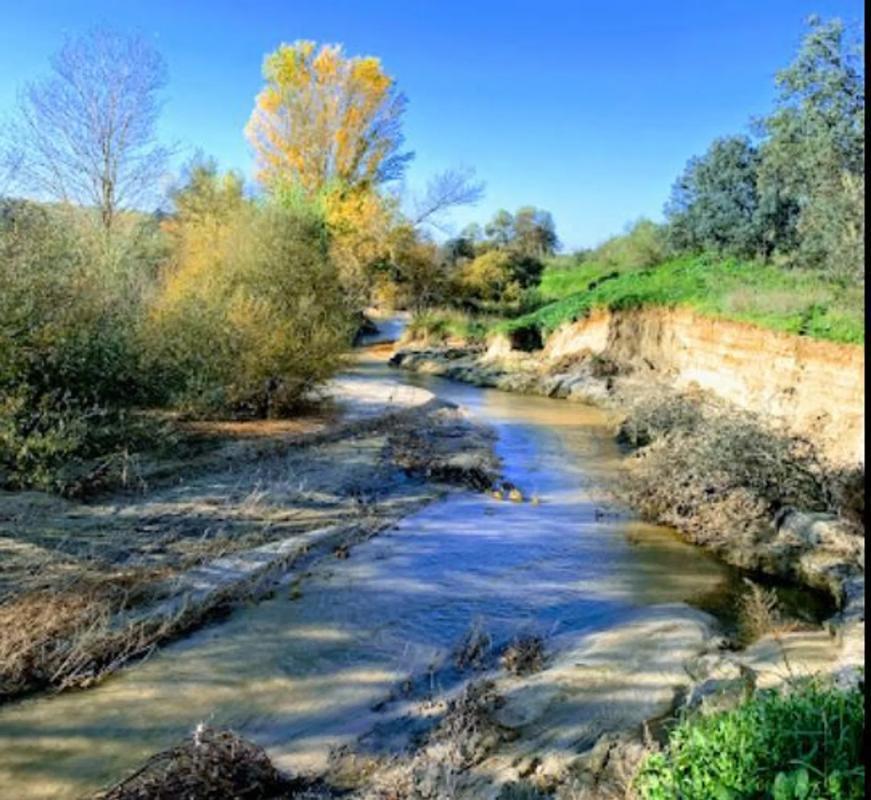 Terreno en venta en Villanueva de la Cañada, Madrid photo 5