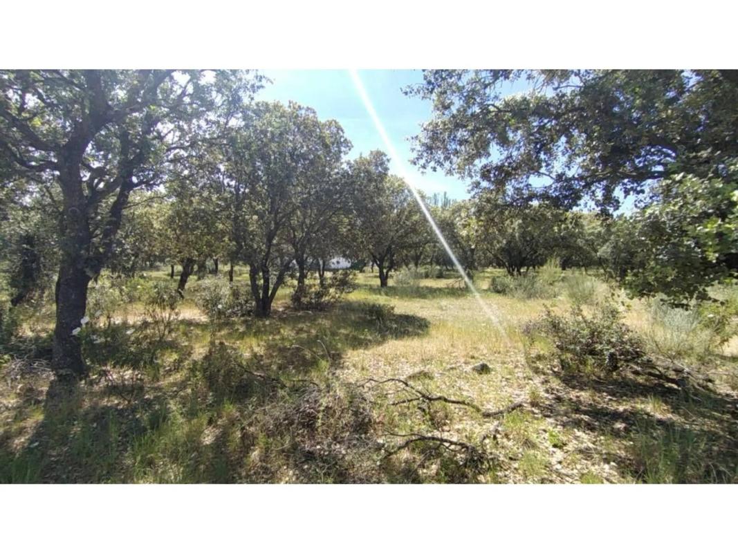 Terreno en venta en Villanueva de la Cañada, Madrid photo 4