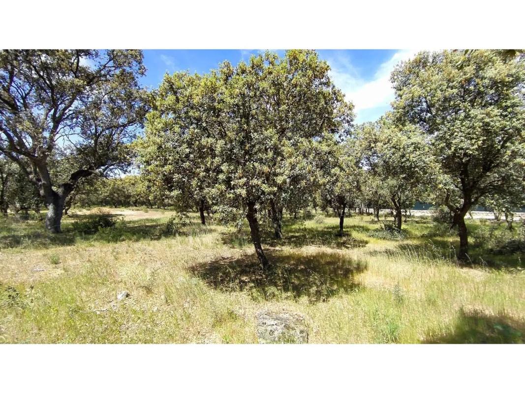 Terreno en venta en Villanueva de la Cañada, Madrid photo 5