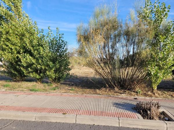 Terreno en calle Golondrina, 22 -24 photo 2